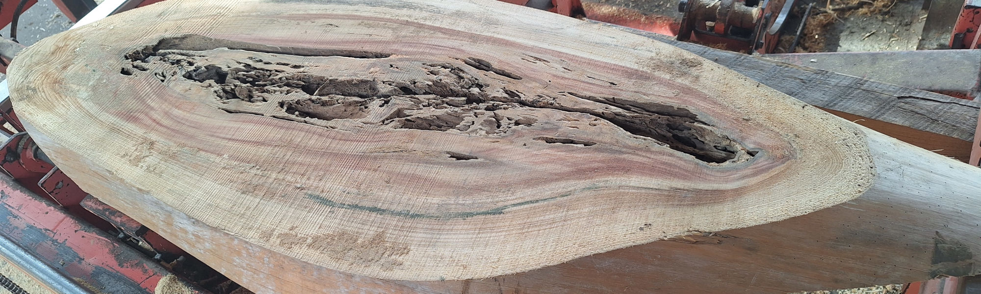 Live edge cypress slab stack